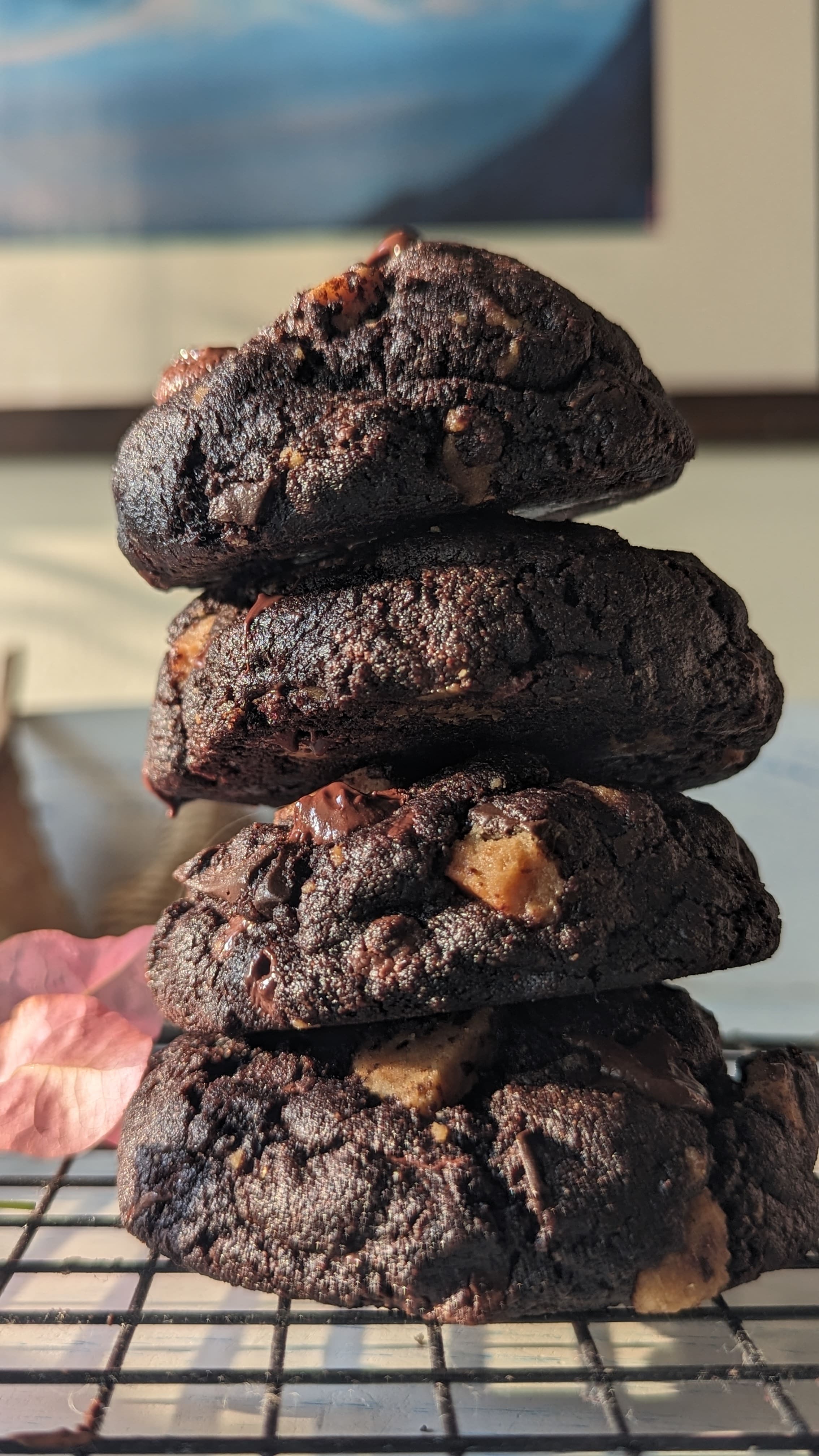 Dark Chocolate Cookie