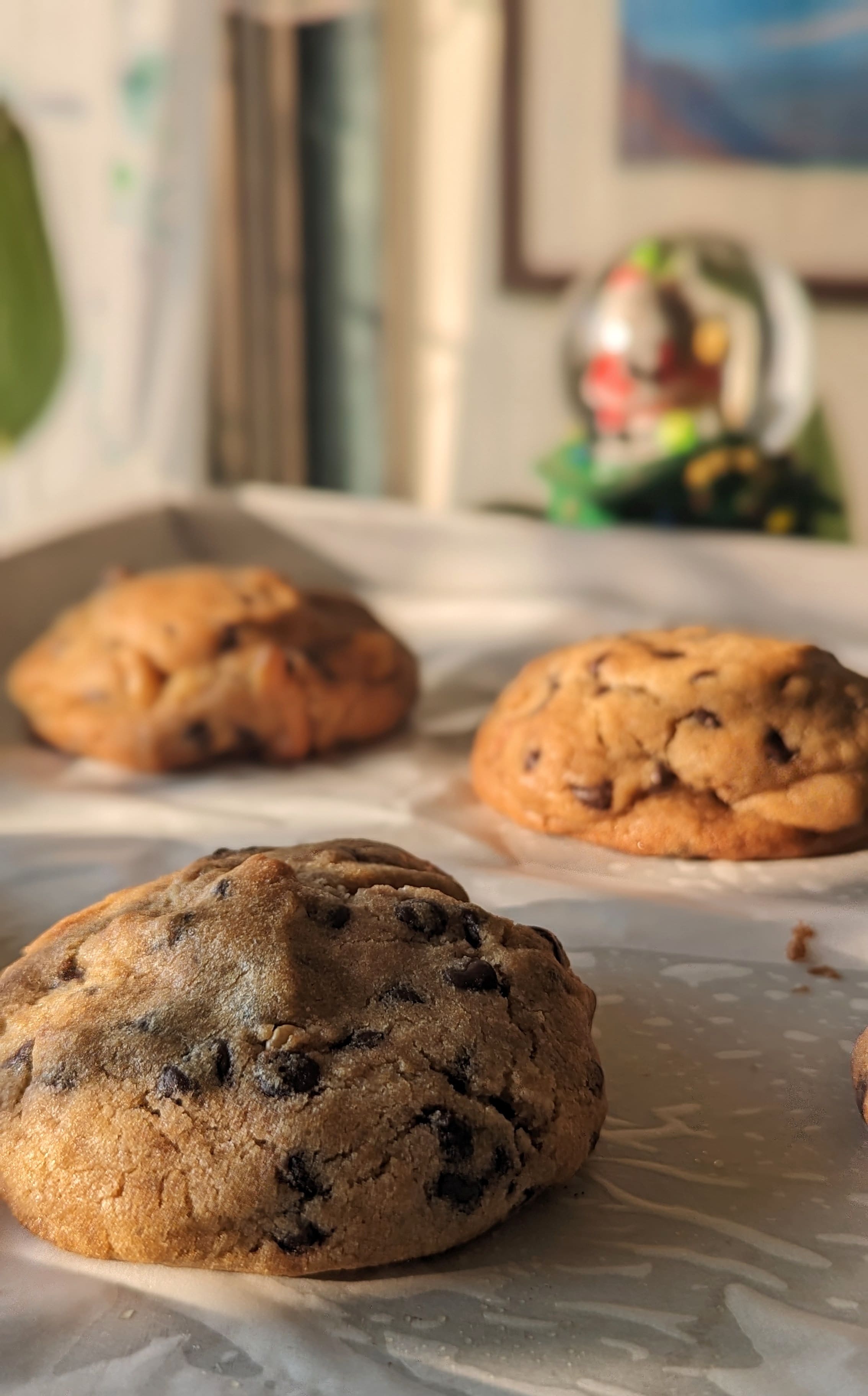 Chocolate Walnut Cookie